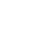 Websitecheck Icon